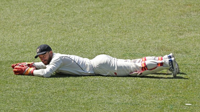 Matthew Wade has been recalled for the third Test against South Africa