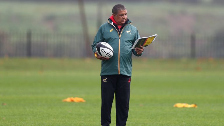 Springboks coach Allister Coetzee