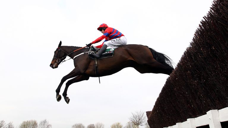 Sprinter Sacre in the Racing Post Arkle Challenge Trophy Steeple Chase