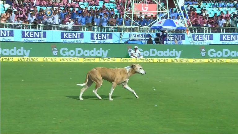 A stray dog brings play to a shuddering halt on day one of the second Test