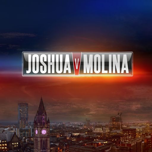 Book Joshua vs Molina