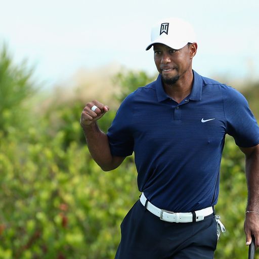 Flawless Tiger on the charge