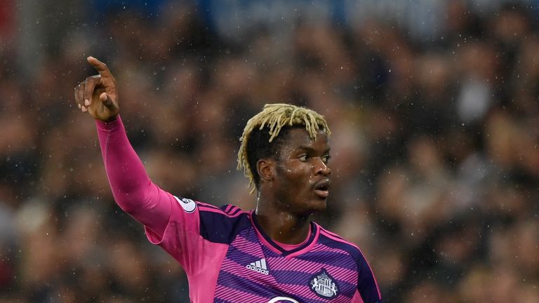 SWANSEA, WALES - DECEMBER 10:  Didier N'Dong of Sunderland in action during the Premier League match between Swansea City and Sunderland at Liberty Stadium