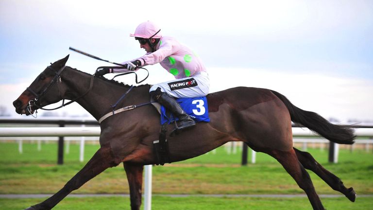 Getabird, ridden by Patrick Mullins, before winning at Fairyhouse