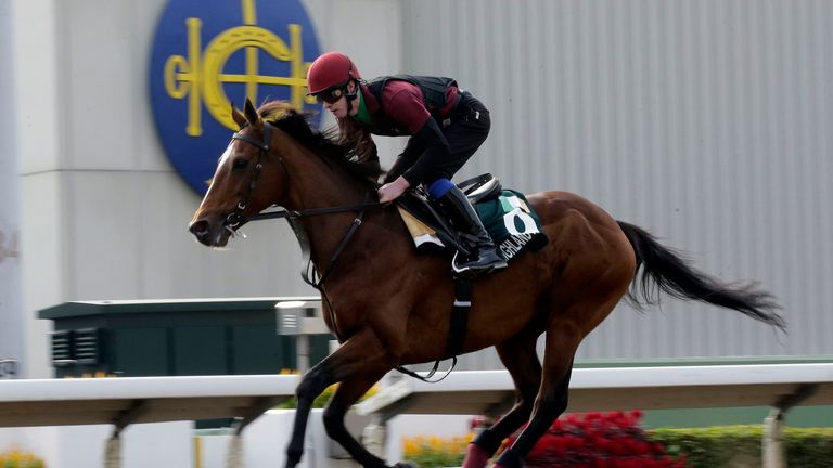 Highland Reel works on the track at Sha Tin