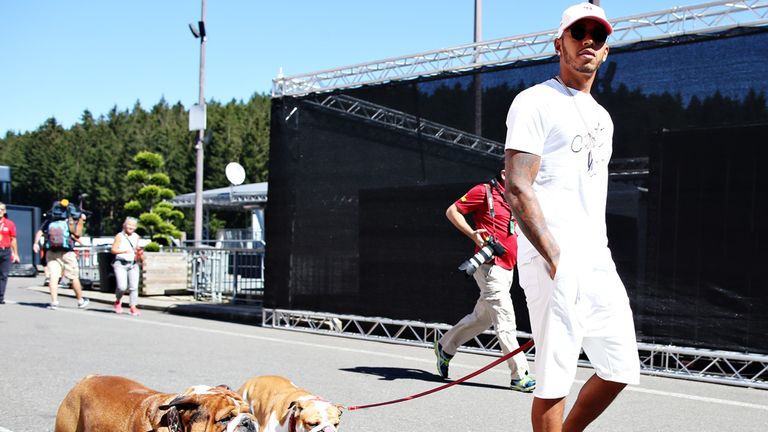 Lewis Hamilton arrives in the paddock with his two dogs, Roscoe and Coco - Picture from Getty Images 