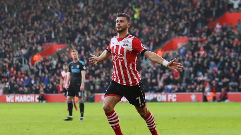 Shane Long celebrates after scoring the opening goal of the game