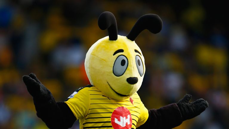 WATFORD, ENGLAND - SEPTEMBER 27:  Watford mascto Harry the Hornet prior to the Barclays Premier League match between Watford and Crystal Palace at Vicarage