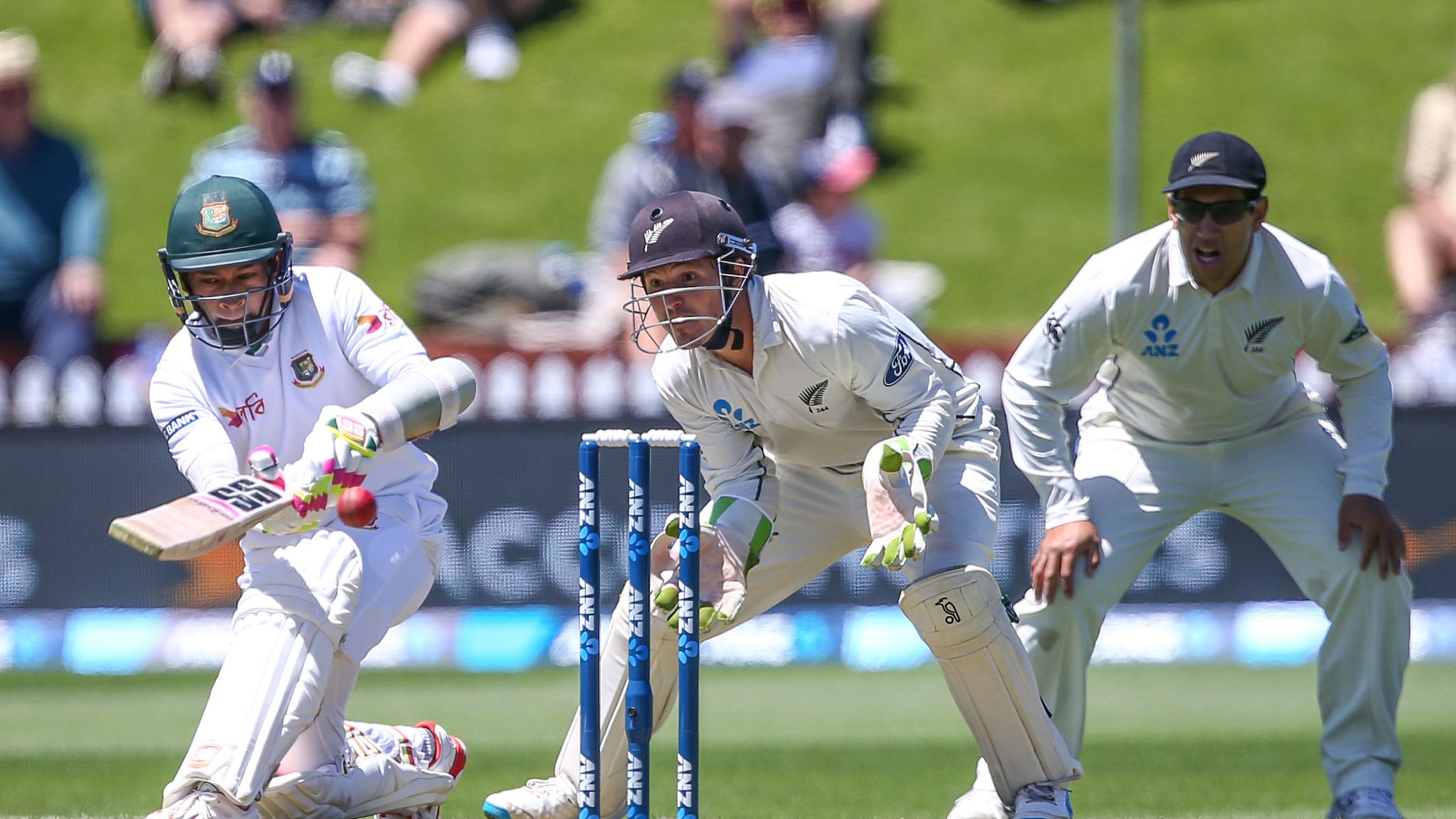 Afgon jinsiy aloqa video Seks chavandoz hd