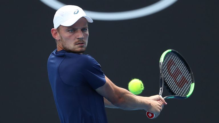 David Goffin dropped just seven games in his straight sets win over Radek Stepanek