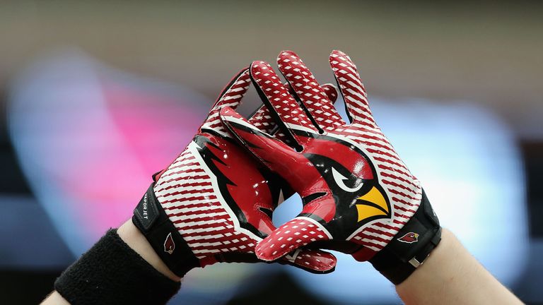 GLENDALE, AZ - JULY 26:  A fan of the Arizona Cardinals holds up his logo gloves during the team training camp at University of Phoenix Stadium on July 26,