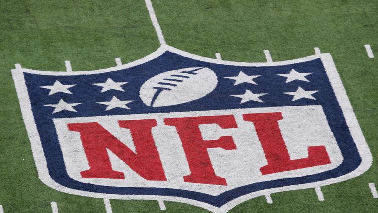 EAST RUTHERFORD, NJ - JANUARY 08:  A detail of the official National Football League NFL logo is seen painted on the turf as the New York Giants host the A