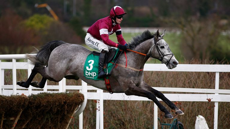 Petit Mouchoir wings the last flight on his way to victory in the BHP Insurance Irish Champion Hurdle at Leopardstown.