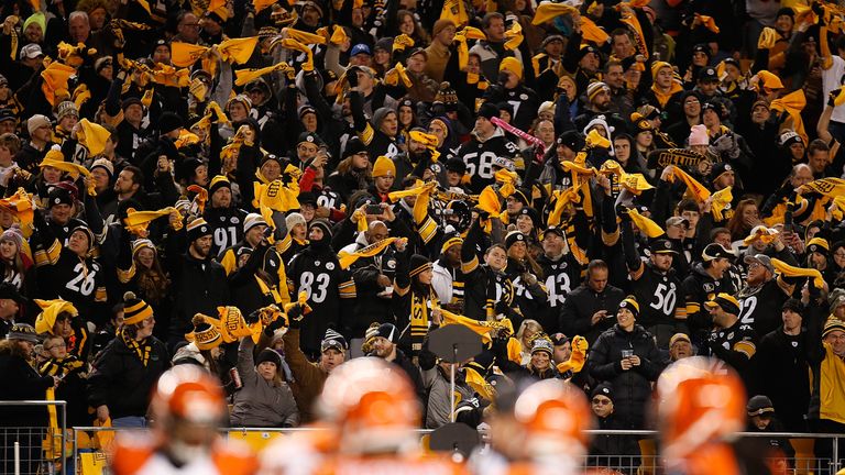 PITTSBURGH, PA - DECEMBER 28:  Pittsburgh Steelers fans cheer during the first quarter against the Cincinnati Bengals at Heinz Field on December 28, 2014 i
