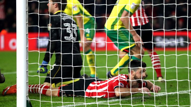 SOUTHAMPTON, ENGLAND - JANUARY 18:  Shane Long of Southampton lies on the ground after scoring the opening goal during The Emirates FA Cup Third Round Repl