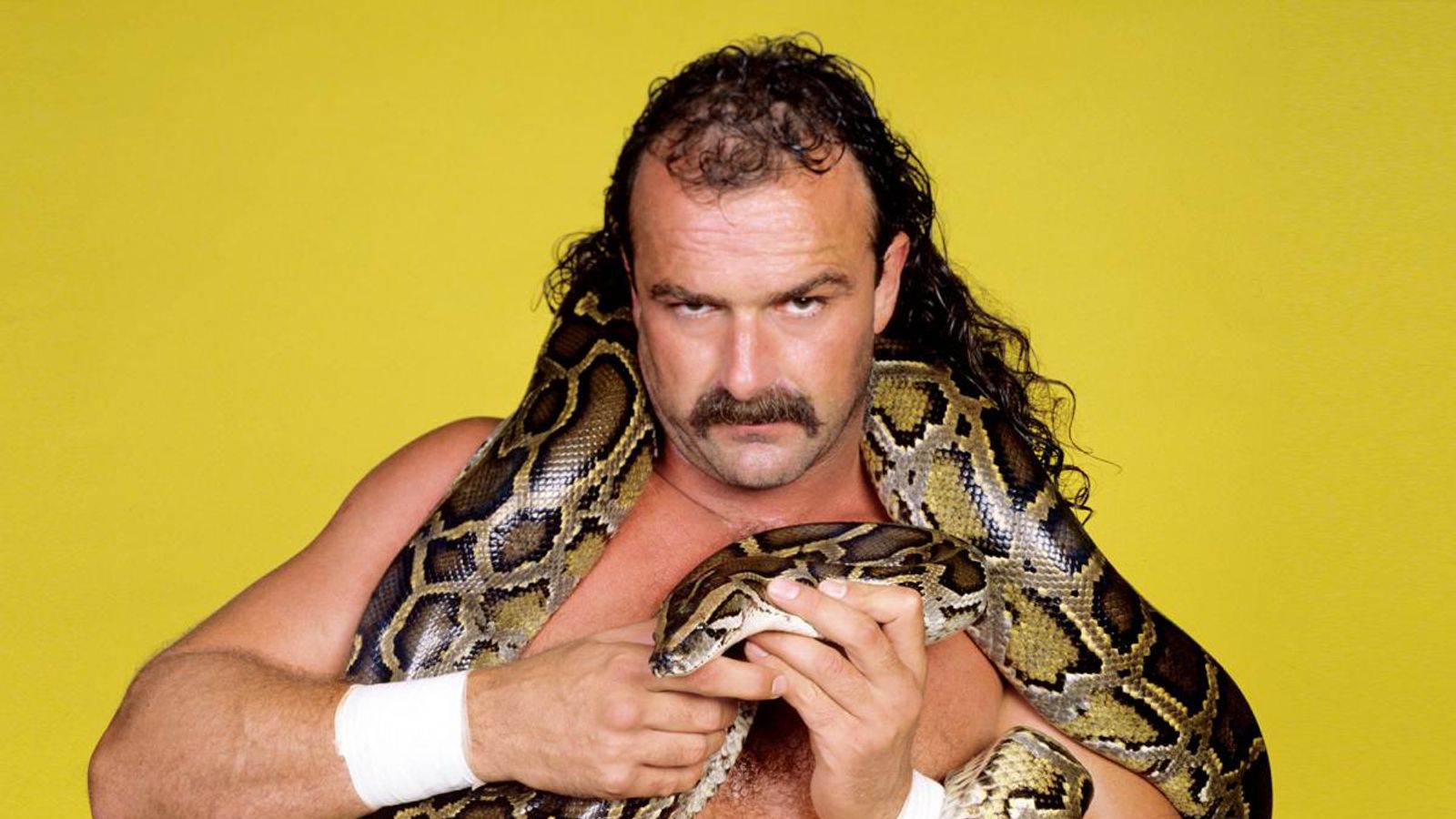 WWE: Jake Roberts helped start my wrestling career, says Wolfgang | Snooker  News | Sky Sports