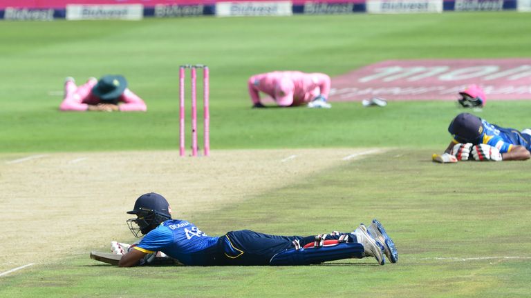 JOHANNESBURG, SOUTH AFRICA - FEBRUARY 04: Bees stop play during the 4th One Day International match between South Africa and Sri Lanka at Bidvest Wanderers