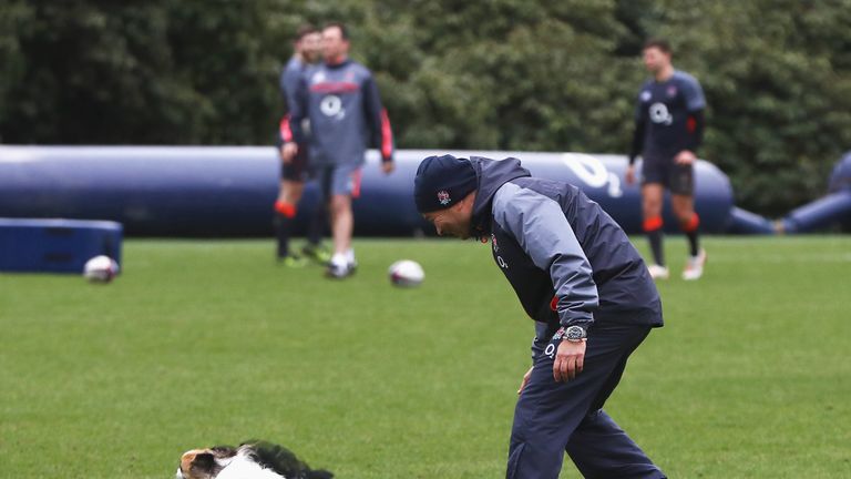Eddie Jones, head coach of England, plays with his dog during an England training session at Pennyhill Park