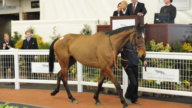 Flemenshill (www.tattersalls.com)