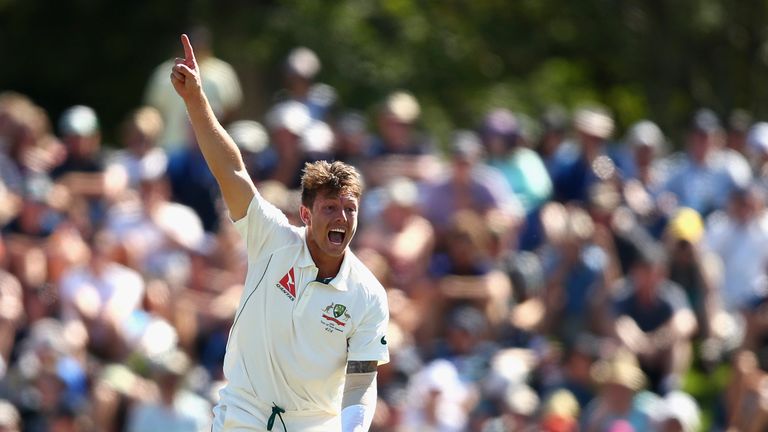 Pattinson has played in 17 Test matches for Australia