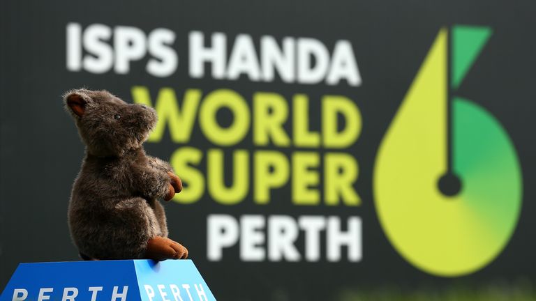 PERTH, AUSTRALIA - FEBRUARY 15:  A Quokka tee marker is seen on the 9th hole during previews ahead of the ISPS HANDA World Super 6 Perth at Lake Karrinyup 