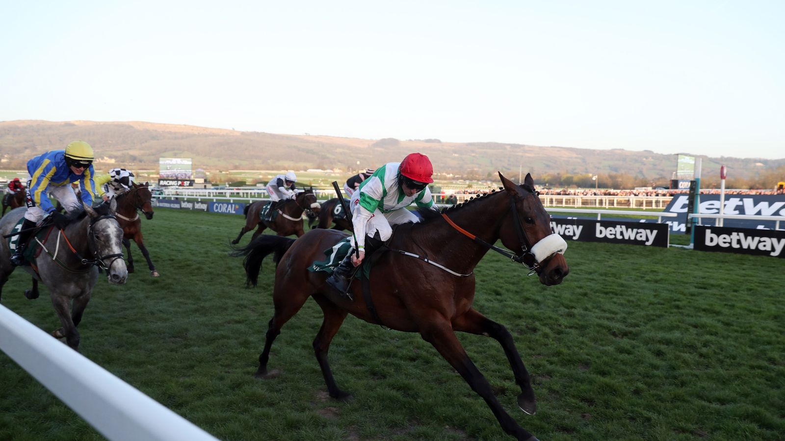 Fayonagh won Punchestown's Champion I.N.H Flat Race Racing News Sky