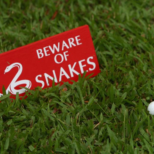 Radar's fake snake prank!