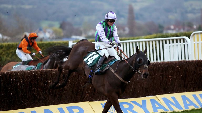 Domesday Book ridden by jockey Gina Andrews on the way to winning the Fulke Walwyn Kim Muir Challenge Cup Amateur Riders' Handicap Chase during St Patrick'