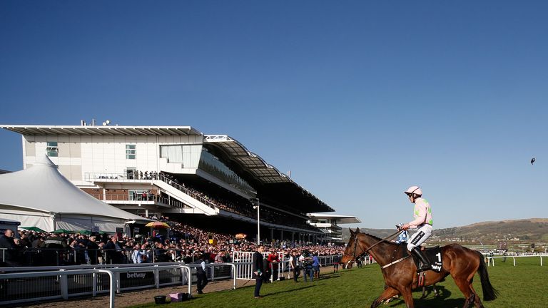 CHELTENHAM, ENGLAND - MARCH 15: Ruby Walsh riding Douvan after finishing down the field in The Betway Quenn Mother Champion Chase at Cheltenham racecourse 