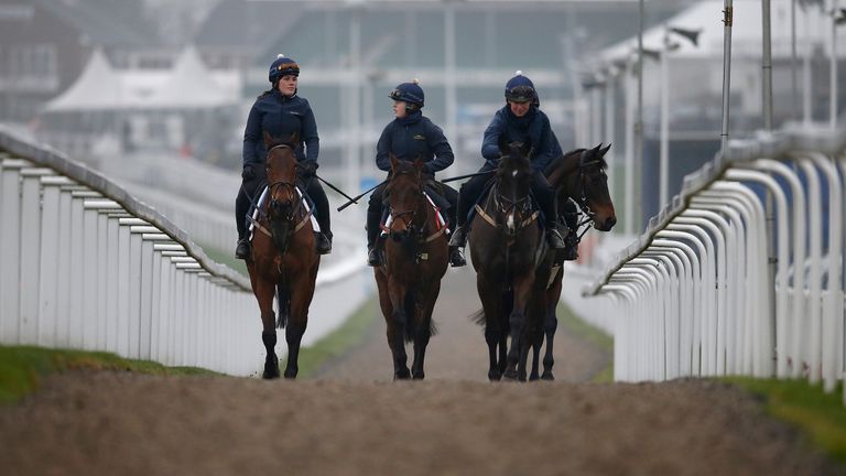 The Gordon Elliott string make their way to the gallops to exercise prior to the upcoming Cheltenham festival starting on Tuesday