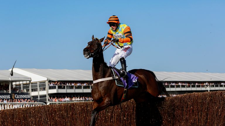 Might Bite and Nico de Boinville survive a scare at the last fence before going on to win The RSA Novices' Steeple Chase Race run during Ladies Day of the 