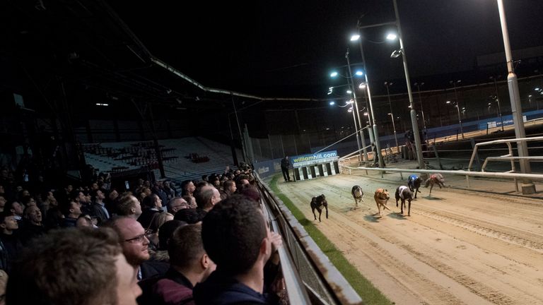 Racegoers watch the track during an evening of greyhound racing in south London on March 18, 2017. 
March 25 will see the final day of racing at the Wimble