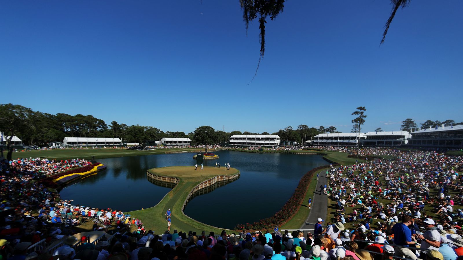 Seagull steals Brad Fabel's golf ball at 1998 Players Championship ...