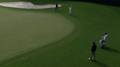 Hadwin's hybrid birdie