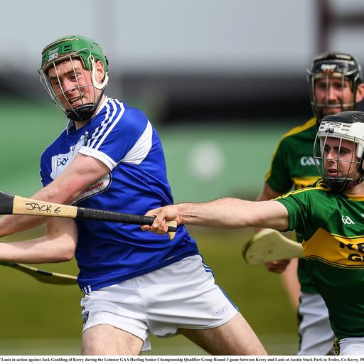 Pundits on hurling restructure