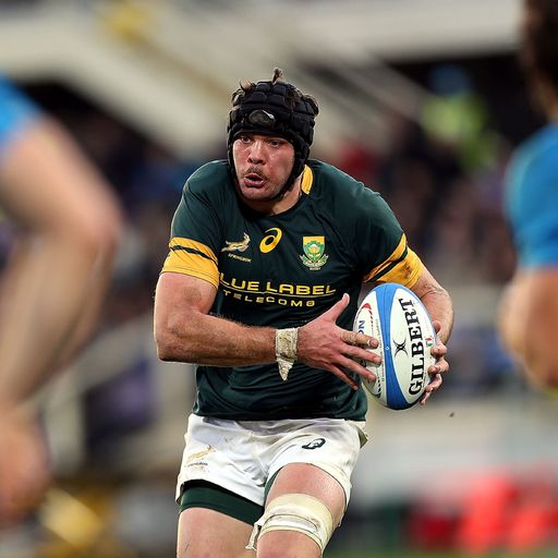 Whiteley to lead Springboks