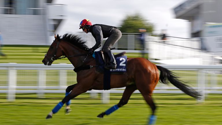 EPSOM, ENGLAND - MAY 23:  Frankie Dettori riding Cracksman gallop at Epsom Racecourse on May 23, 2017 in Epsom, England. (Photo by Alan Crowhurst/Getty Ima