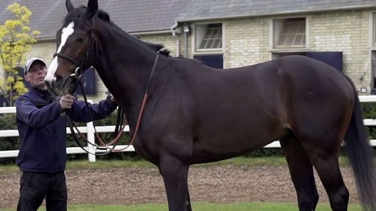 Eminent, trained by Martyn Meade, son of Frankel.