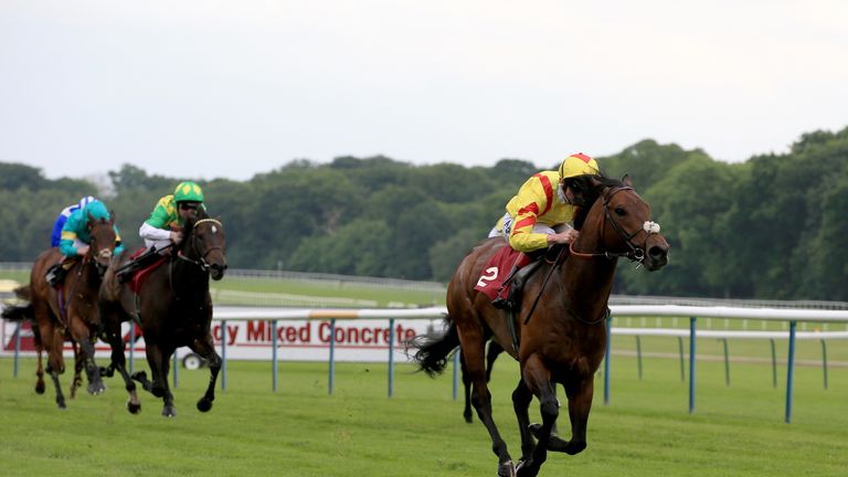 HAYDOCK, ENGLAND - MAY 27:  Adam Kirby (Right) riding Harry Angel leads the field home to win the Armstrong Aggregates Sandy Lane Stakes at Haydock Racecou