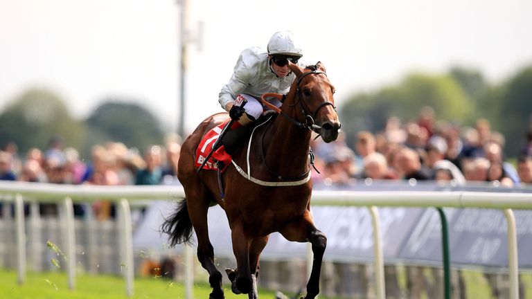 Permian ridden by jockey Franny Norton wins the Betfred Dante Stakes