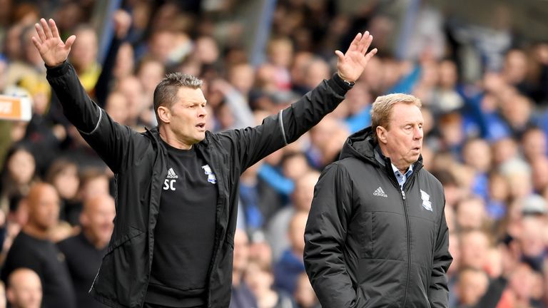 Steve Cotterill (left) is in negotiations to become Redknapp's full-time assistant at Birmingham