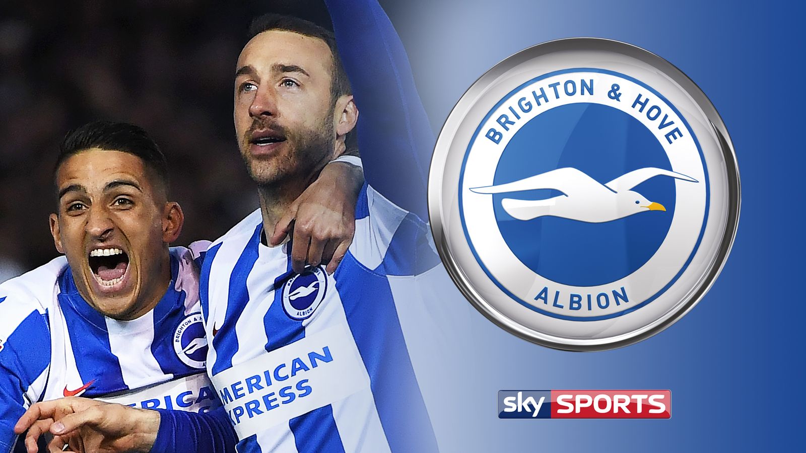 Brighton Fixtures: Premier League 2017/18 | Football News | Sky Sports