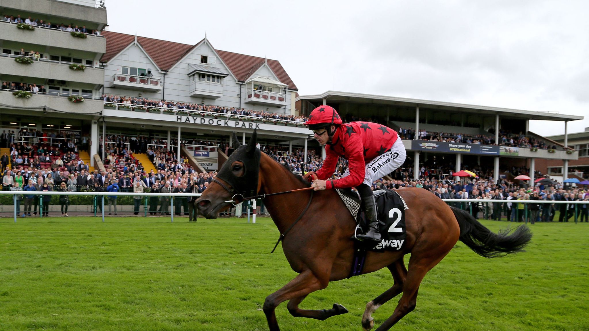 Stalls handler dies in Haydock tragedy Racing News Sky Sports