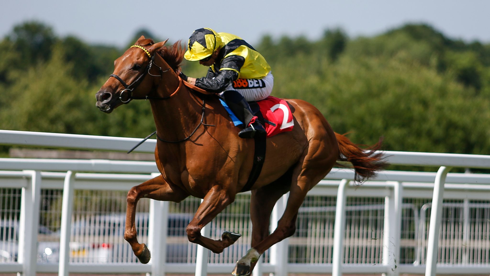 Silvestre de Sousa continued his magnificent run of form with an incredible  six-timer | Racing News | Sky Sports