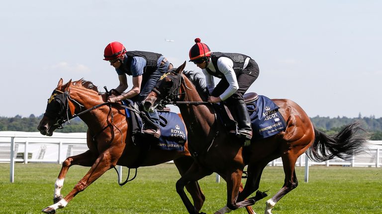 Happy Like A Fool (L) works with Princess Peggy (R) in a track gallop at Ascot