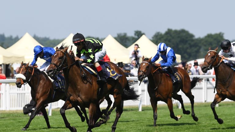 ASCOT, ENGLAND - JUNE 20:  John Valazquez and Lady Aurelia (centre) win the King's Stand Stakes on the opening day of Royal Ascot at Ascot Racecourse on Ju