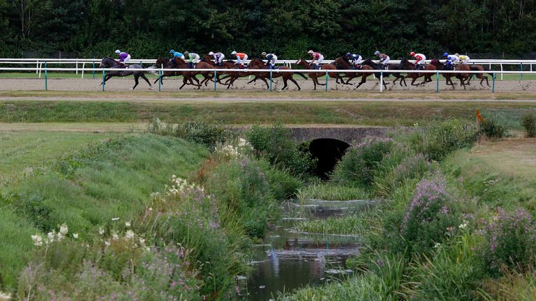 The runners make their way down the back straight at Lingfield with the river in the foreground.