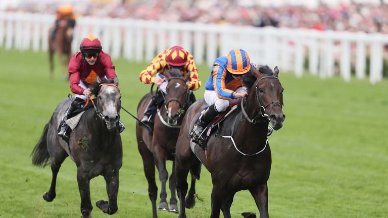 Sioux Nation comes home to win the Norfolk Stakes 
