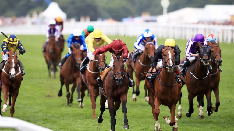 Stradivarius (front right) wins the Queen's Vase  form Count Octave