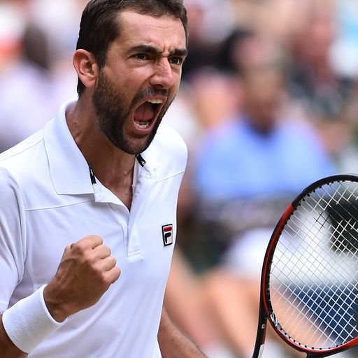 Cilic reaches Wimbledon final